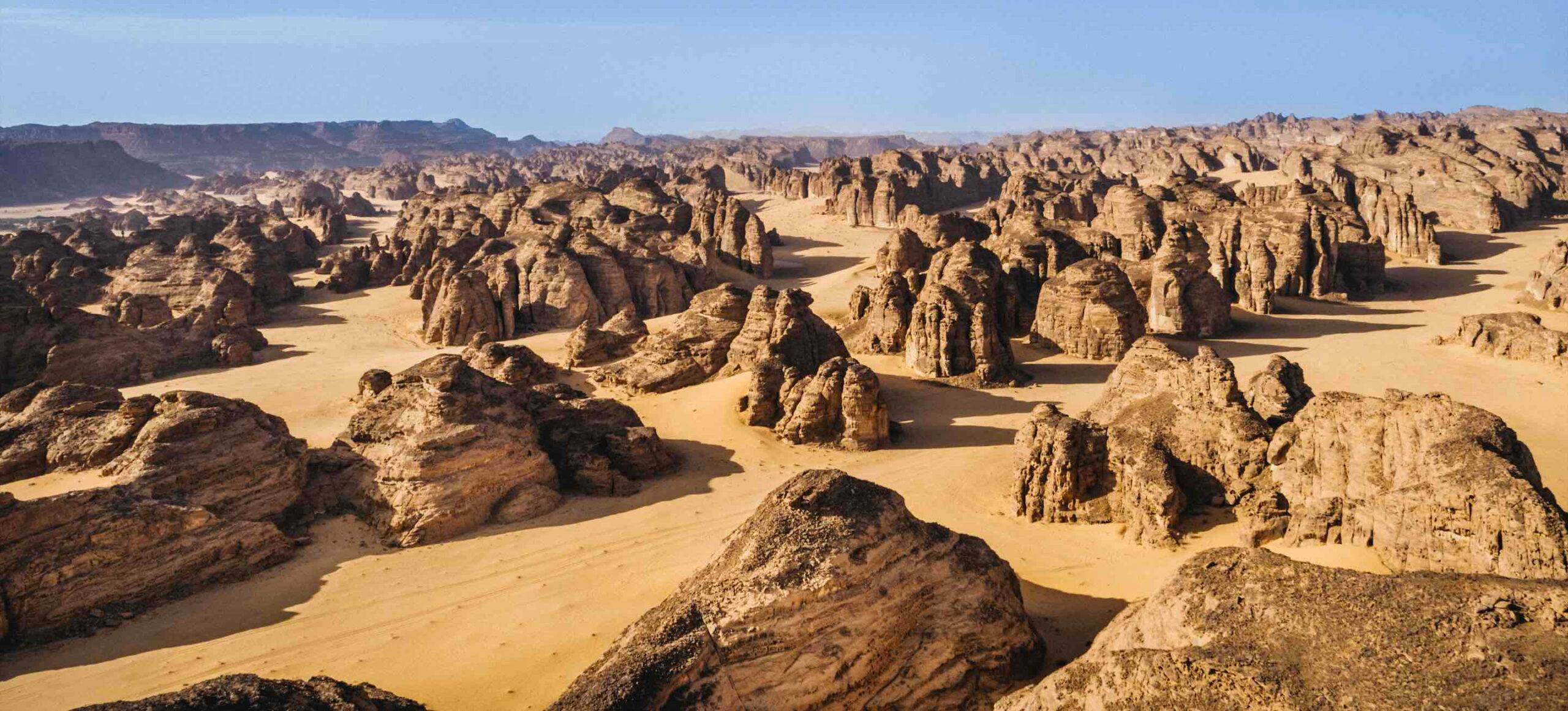 Here are the artists joining AlUla’s Wadi AlFann